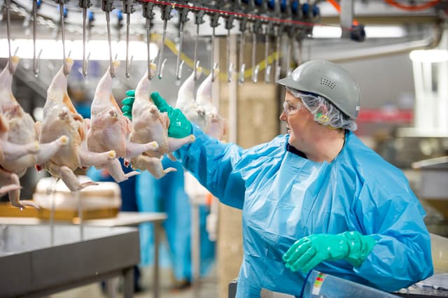 Gallery image bfbdbaa9-43db-440e-9695-29f5ed6b53b8