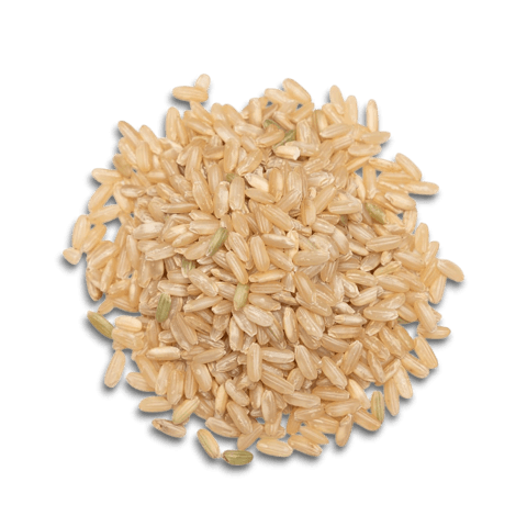 Organic Long B Rice