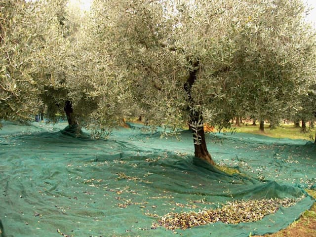 Gallery image af7036e0-7aef-46a3-ace2-67125ad0c8d5