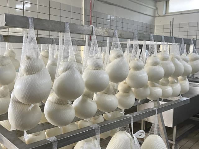 Gallery image 683fbb45-a551-48cc-a661-924f988dca74