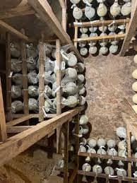 Gallery image ee5a83ee-df83-431a-9ff8-0d6caf77d64c