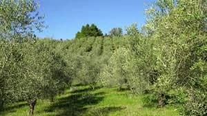 Gallery image da23e5f8-f5b9-49de-a8d8-8fc68d4f7fb3