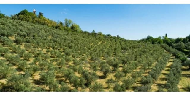 Gallery image 4cf3f8e3-4a99-4be1-b592-26c2b32a0711