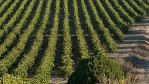 Gallery image 39b161f5-dbff-4172-a806-0fd6bc2238e1