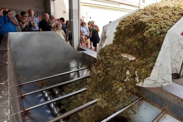 Gallery image 903b64c4-2708-4b54-b10a-d48e8ef8ed90