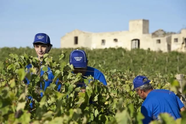 Gallery image 4b32bb91-9f1a-4bba-a736-3a7f72d95673