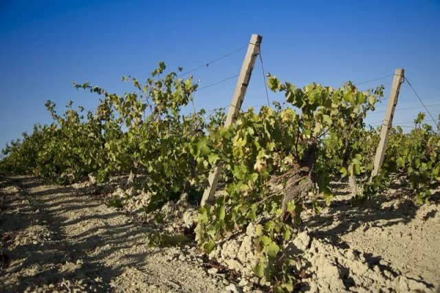 Gallery image aa1e6ddc-7756-423c-a858-c175e44b6478