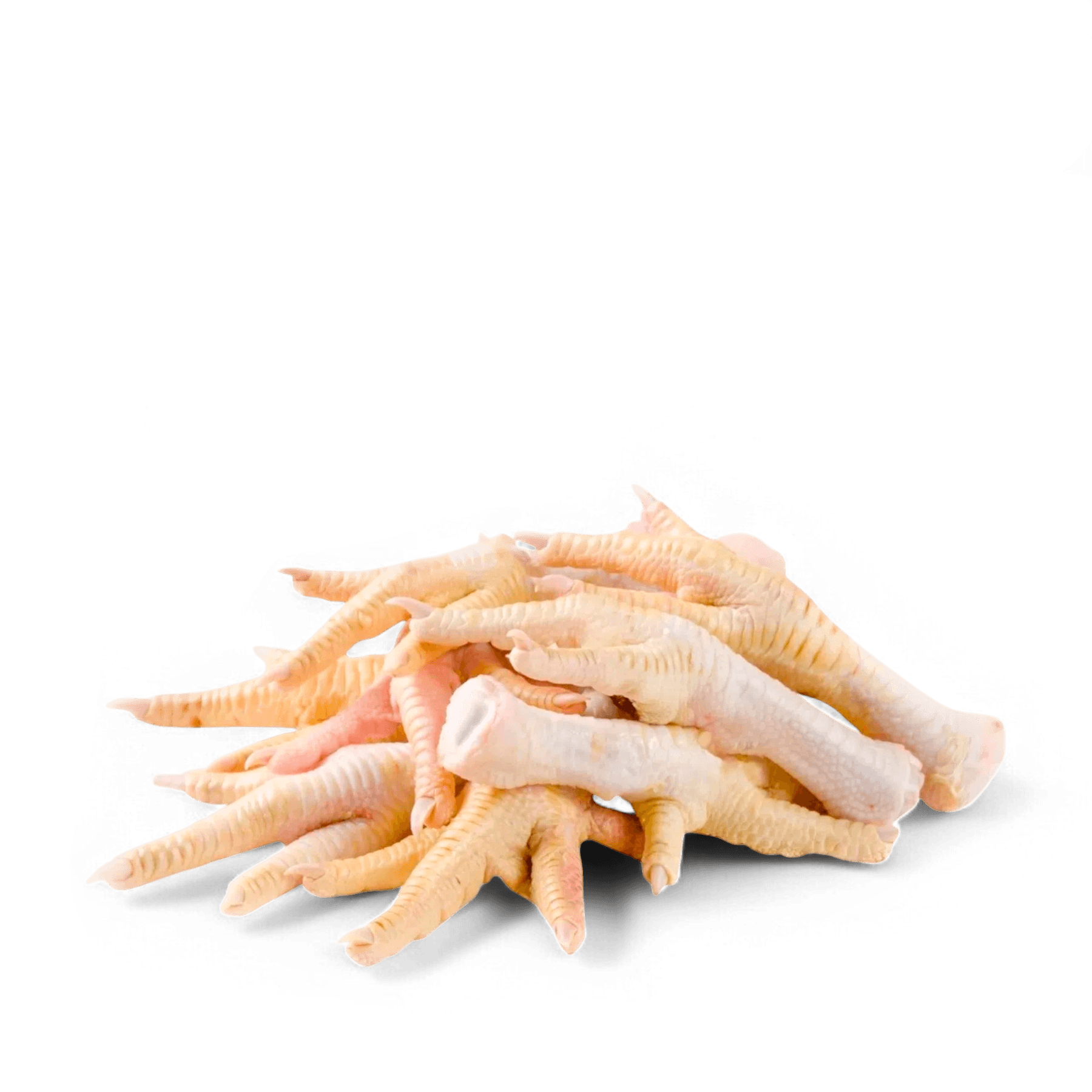 Raw Chicken Paw