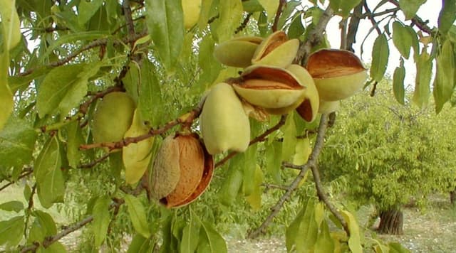 Gallery image 2f300312-d099-4b6b-8eea-4066c3cfc2b9