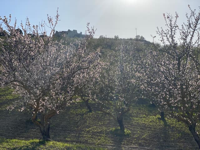 Gallery image 47b4a697-1d96-4427-a07b-c0e6c28964c8