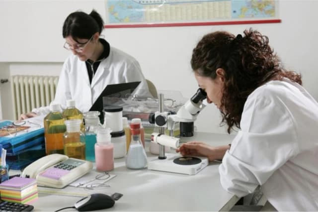 Gallery image ef6e6f88-6107-4d4e-a95c-6dc5bf8227e6